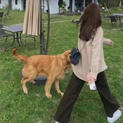 影之宅第二季